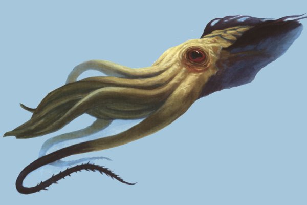 Kraken 26at