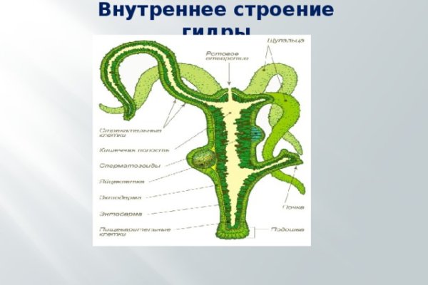 Как зайти на kraken маркетплейс