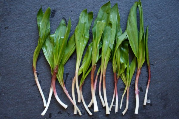 Кракен ссылка onion