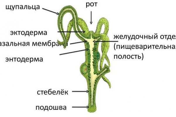Kraken 2025 ссылка