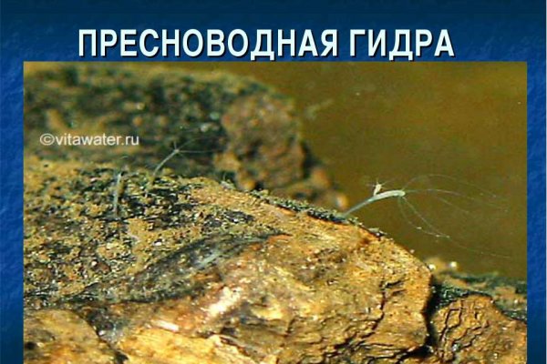 Ссылка на кракен шоп